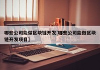 哪些公司能做区块链开发[哪些公司能做区块链开发项目]