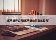 区块链开公司[区块链公司怎么盈利]